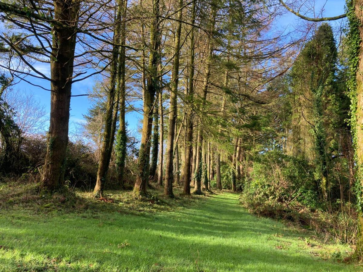 Hollyhocks Holiday Home- 2 Bedroomed Ground Floor Apartment Sleeps 5 Ivybridge Zewnętrze zdjęcie